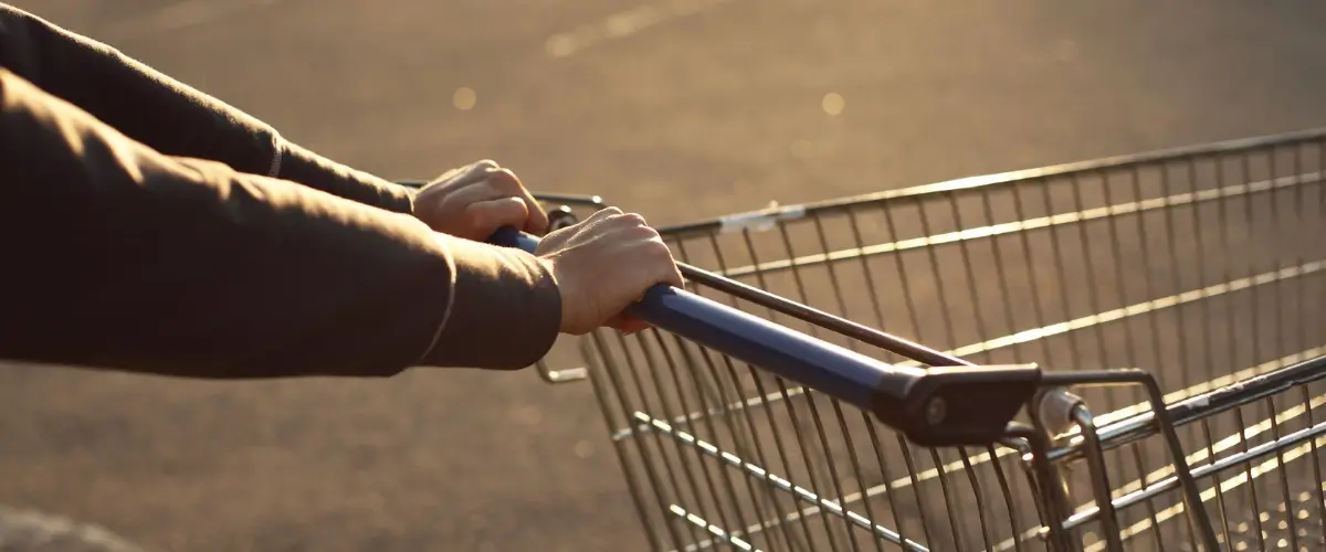 Shopping Cart Abandonment