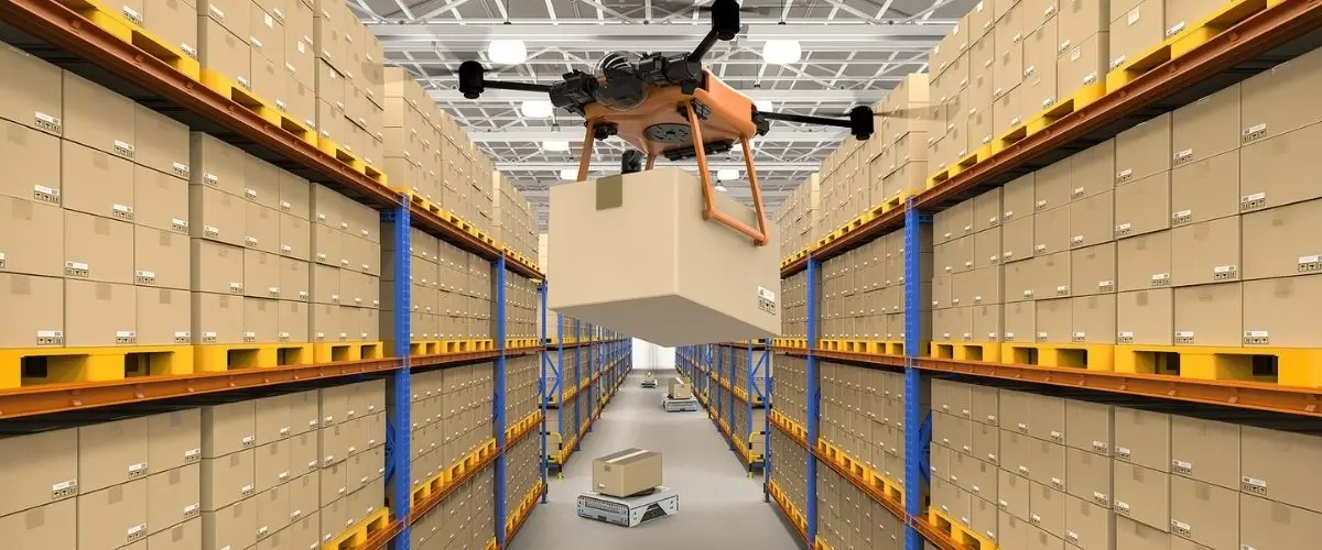 Warehouse Robotics and WMS Software: Everything You Need to Know