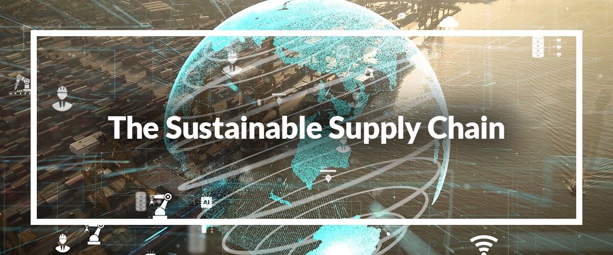 The Sustainable Supply Chain: AI and Automation for a Green Warehouse